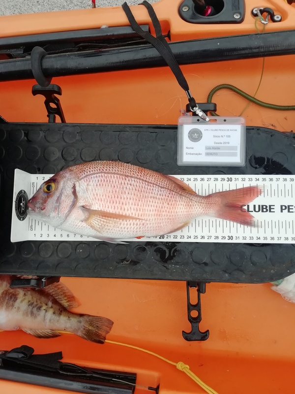 Fish Measure Picture